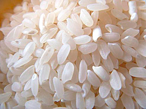 Tipos de arroz - arroz cateto ou japonês